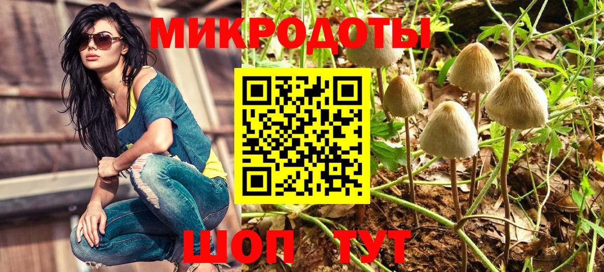 Арзамас  наркошоп  Вход с VPN  Псилоцибиновые грибы Psilocybine cubensis 